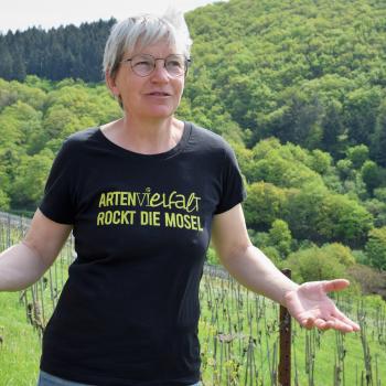 Winzerin Stefanie Vornhecke lässt zwischen den Reben und in den brach liegenden Weinbergsflächen ihre bretonischen Schafe weiden - (c) GabiVögele