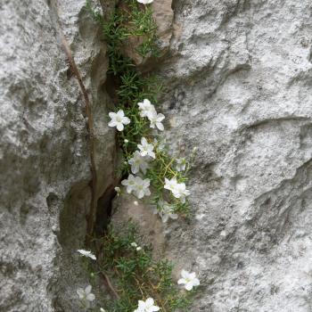 Veronas bergiges Hinterland: Mühlen, Wasserfälle und aromatischer Käse - (c) Gabi Vögele