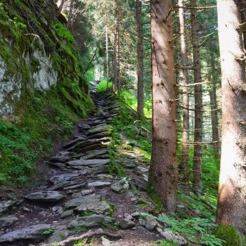 Wandern auf dem Hohe Tauern Panorama Trail: Auf Augenhöhe mit Österreichs höchsten Bergen - (c) Gabi Vögele