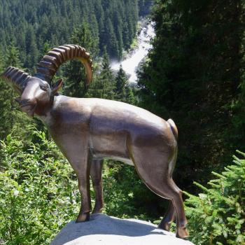 Wandern auf dem Hohe Tauern Panorama Trail: Auf Augenhöhe mit Österreichs höchsten Bergen - (c) Gabi Vögele