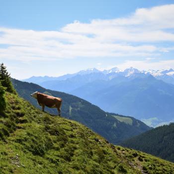 Wandern auf dem Hohe Tauern Panorama Trail: Auf Augenhöhe mit Österreichs höchsten Bergen - (c) Gabi Vögele