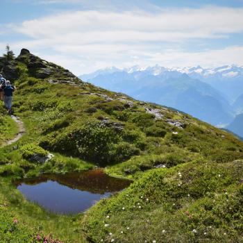 Wandern auf dem Hohe Tauern Panorama Trail: Auf Augenhöhe mit Österreichs höchsten Bergen - (c) Gabi Vögele