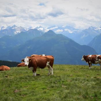 Wandern auf dem Hohe Tauern Panorama Trail: Auf Augenhöhe mit Österreichs höchsten Bergen - (c) Gabi Vögele