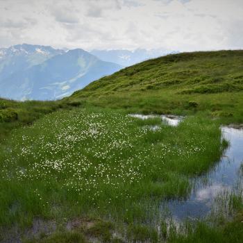 Wandern auf dem Hohe Tauern Panorama Trail: Auf Augenhöhe mit Österreichs höchsten Bergen - (c) Gabi Vögele