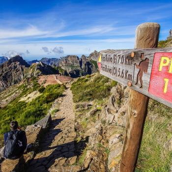 Wandern auf Madeira, ein Wanderziel für das ganze Jahr - (c) franky1st auf Pixabay