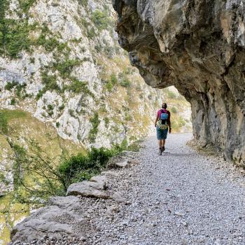 Der Weg ist meist breit und gut zu gehen - (c) Christine Kroll