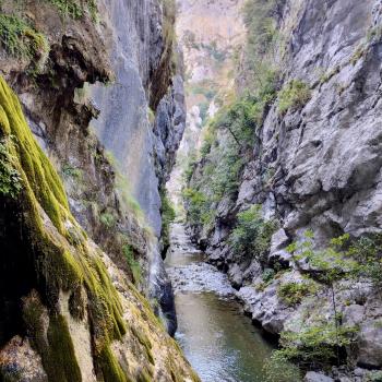 Je tiefer wir in die Schlucht vordringen, desto enger rücken die Felswände zusammen - (c) Christine Kroller