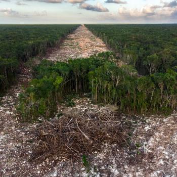 Auch Umweltzerstörung, wird mit Bildern die am Wettbewerb 'Wildlife Fotografien des Jahres' teilnehmen, dokumentiert - (c) Fernando Constantino Martinez Belmar