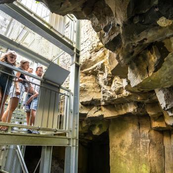 Wildlife vor der Haustür entdecken, tierisch wandern in Rheinland-Pfalz - (c) Rheinland-Pfalz Tourismus GmbH