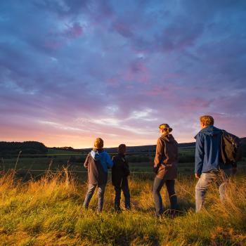 Wildlife vor der Haustür entdecken, tierisch wandern in Rheinland-Pfalz - (c) Rheinland-Pfalz Tourismus GmbH