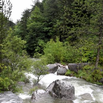 Am Berg der Götter –  einzigartige Natur, Klöster und archäologische Stätten am Olymp - (c) Gabi Vögele