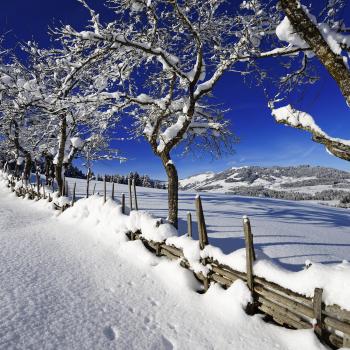 Wintermärchen mit Bratpfannen an den Füßen - Genusstouren im Pulverschnee der Kitzbüheler Alpen - (c) Norbert Eisele-Hein