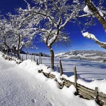 Wintermärchen mit Bratpfannen an den Füßen - Genusstouren im Pulverschnee der Kitzbüheler Alpen - (c) Norbert Eisele-Hein