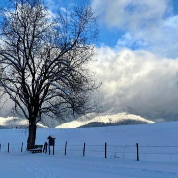 Wintertage in Reit im Winkl - ob zum Skifahren, Langlaufen oder Winterwandern, in Reit im Winkl gibt es oft bis zum Winterende Schnee in Hülle und Fülle - (c) Gabi Dräger