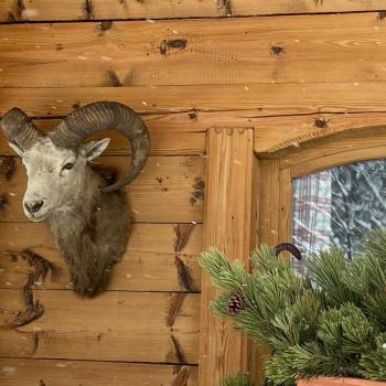 Wintertage in Reit im Winkl - ob zum Skifahren, Langlaufen oder Winterwandern, in Reit im Winkl gibt es oft bis zum Winterende Schnee in Hülle und Fülle - (c) Gabi Dräger