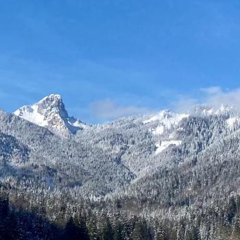 Wintertage in Reit im Winkl - ob zum Skifahren, Langlaufen oder Winterwandern, in Reit im Winkl gibt es oft bis zum Winterende Schnee in Hülle und Fülle - (c) Gabi Dräger