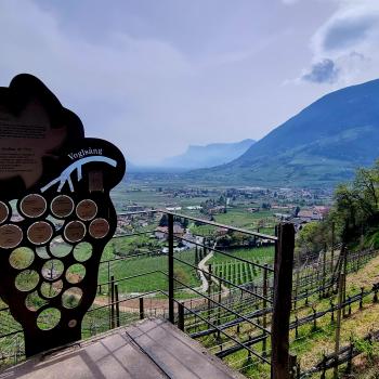 Mitten durch die blühenden Apfelwiesen und die ersten Triebe des jungen Weins führt im Frühjahr eine entspannte Tour auf dem Algunder Waalweg - (c) Gabi Vögele