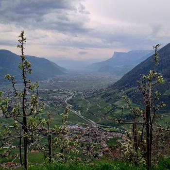 Eingebettet in Obstwiesen und Weinhänge bietet Oberplars einen herrlichen Panoramablick auf Meran - (c) Gabi Vögele