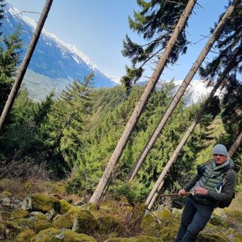 Waldexperte Martin Geier führt einen dabei in sein „Wohnzimmer“, wie er sagt - (c) Gabi Vögele