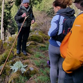 Geier kennt hier jeden Baum und jedes Kraut und auch jede Tierspur in- und auswendig - (c) Gabi Vögele