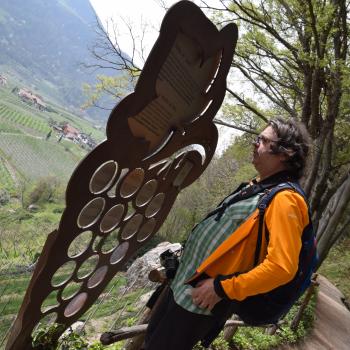 Ein Teil des Weges ist als Weinlehrpfad angelegt. Auf Info-Tafeln erfährt man hier Interessantes über den Anbau des Weins, Rebsorten und verschiedene Lagen - (c) Gabi Vögele