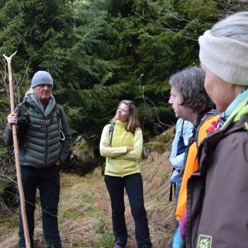 Eine Ebene höher steigt man bei einer geführten Wanderung zu „Magischen Plätzen im Wald“ - (c) Gabi Vögele