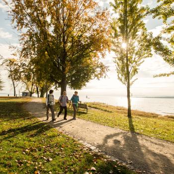 Premiumwandern am Westlichen Bodensee: NaturErlebnisse für alle Sinne - (c) MTK/Ulrike Klumpp