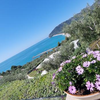 Wandern zwischen wilden Orchideen im Nationalpark Gargano, mehr als 100 Orchideen-Arten findet man hier im Norden Apuliens - (c) Gabi Vögele