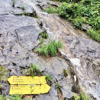 Steil und teilweise seilversichert geht es über den Steig bergauf - (c) Christine Kroll