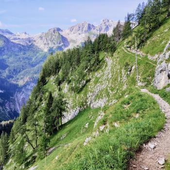 Über schmale Wege führt die Wanderung in Richtung Schneibenstein - (c) Christine Kroll