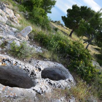 Wandern zwischen wilden Orchideen im Nationalpark Gargano, mehr als 100 Orchideen-Arten findet man hier im Norden Apuliens - (c) Gabi Vögele