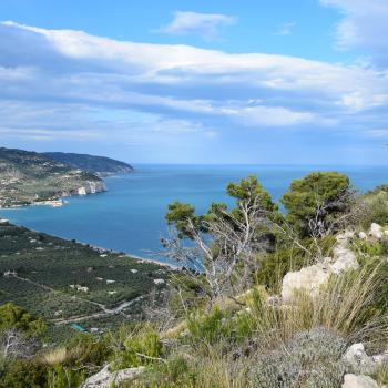 Wandern zwischen wilden Orchideen im Nationalpark Gargano, mehr als 100 Orchideen-Arten findet man hier im Norden Apuliens - (c) Gabi Vögele