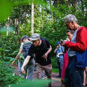 Die 'Waldgang' im Altonaer Volkspark (2022) - (c) Waldgang