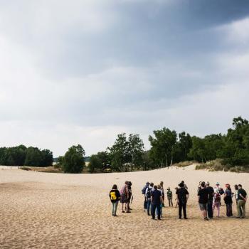 Führung durch die Boberger Dünen (2023) - (c) Linus Koch