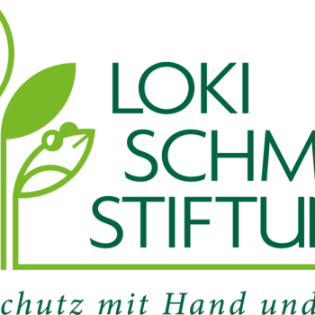 Logo Loki Schmidt Stiftung