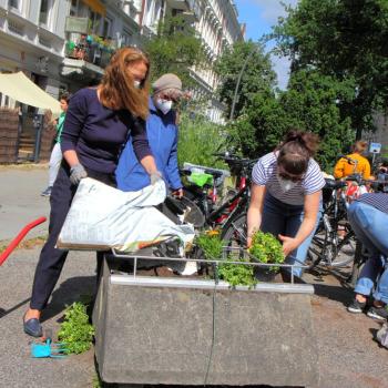 Pflanzaktion des Vereins Green City in Altona (2021) - (c) Anna Thielisch