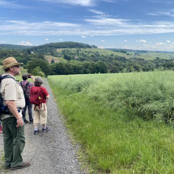 Wunderschöne Aussichten sind garantiert bei der Wanderung im Rheingau - (c) Thomas Rentschler