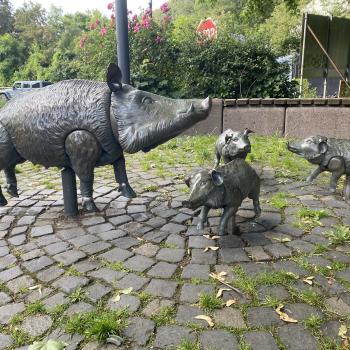 Die Martinsthaler Wildsau ist ein beliebtes Fotomotiv und der Wein vorzüglich - (c) Thomas Rentschler