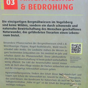 Naturwunder Bergmähwiese in der Vulkanregion Vogelsberg - (c) Jörg Bornmann