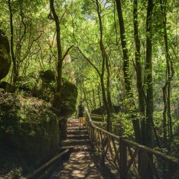 La Palma: Ein erstklassiges Biosphärenreservat 4000 Meter über dem Atlantik  - (c) Manol Zuaznabar