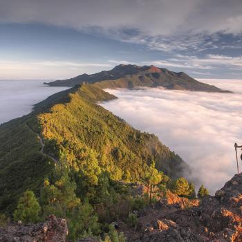 La Palma: Ein erstklassiges Biosphärenreservat 4000 Meter über dem Atlantik  - (c) Saul Santos