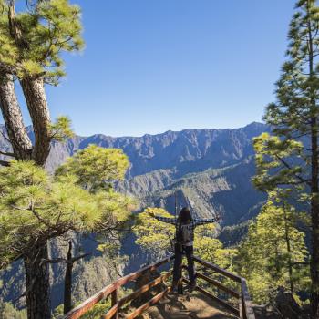 La Palma: Ein erstklassiges Biosphärenreservat 4000 Meter über dem Atlantik  - (c) BosqueLa Palma: Ein erstklassiges Biosphärenreservat 4000 Meter über dem Atlantik  - (c) Álvaro Armas