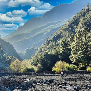 La Palma: Ein erstklassiges Biosphärenreservat 4000 Meter über dem Atlantik  - (c) BosqueLa Palma: Ein erstklassiges Biosphärenreservat 4000 Meter über dem Atlantik  - (c) David Rosariot