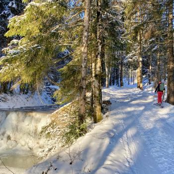 Zunächst durch den Wald... - (c) Christine Kroll