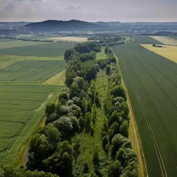 Das Grüne Band zwischen Mitwitz und Neustadt bei Coburg - (c) Otmar Fugmann/BUND