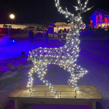 Sterne und Fackeln verzaubern die Nacht, Winterwandernächte im Stubaital - (c) Gabi Dräger