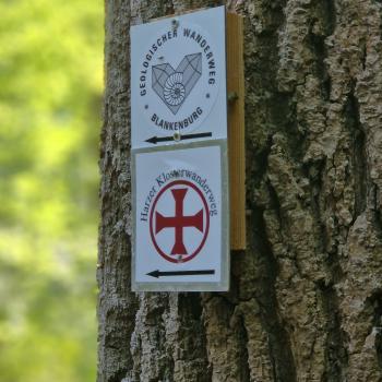 Der Harzer Klosterweg ist sehr gut gekennzeichnet - (c) Alexa Christ