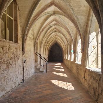 Der Kreuzgang des Kloster Michaelstein - (c) Alexa Christ 