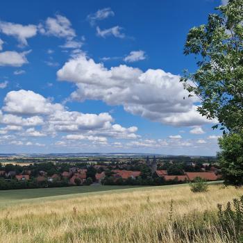 Auf dem Harzer Klosterweg - (c) Alexa Christ