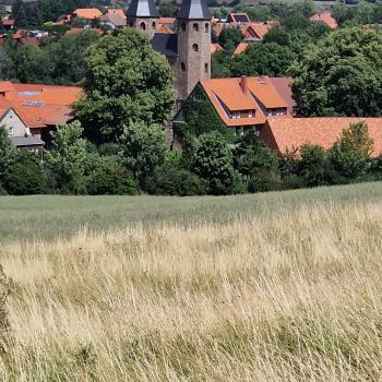 Auf dem Harzer Klosterweg - (c) Alexa Christ